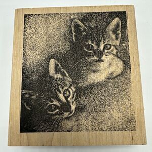 Kittens Looking Up Grey Tabby Big Eyes Custom Made Rubber Stamp Kitty Cat